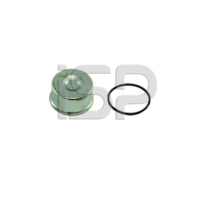 CALIPER CAP SET- II39769F0063