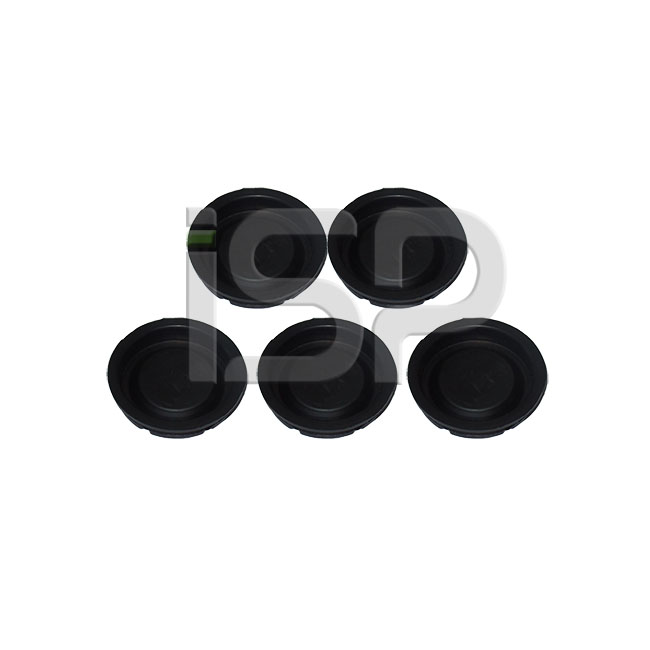 Caliper Head Sealing Plug Set