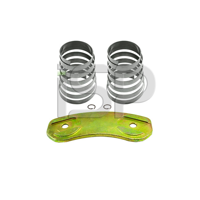 92731-Caliper Spring Plate Set