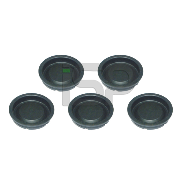 Caliper Plug Set